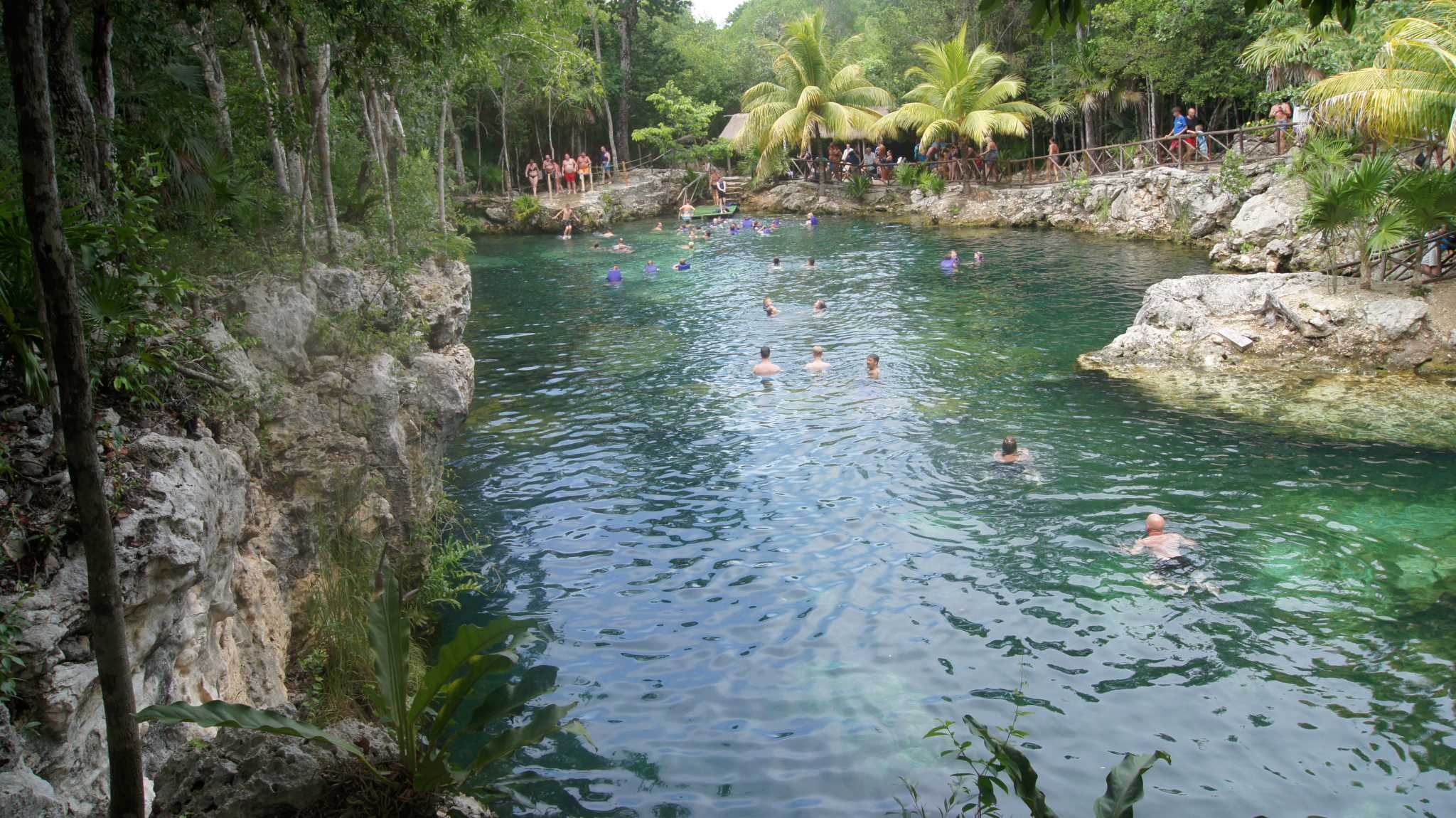   -  ,   .   Coba trip - open cenote-tourists 